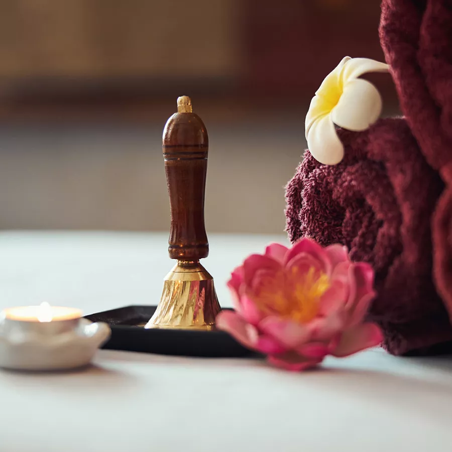 Professional spa massage treatment